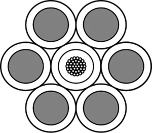 Cross Section