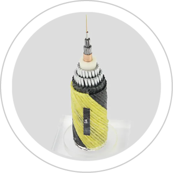 2.-DOUBLE-ARMORED-CABLE